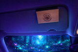 Aromatiseur de voiture - Merlix
